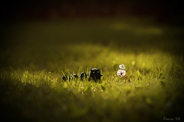 Ayo lestarikan alam kita