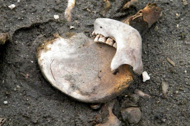 Misterius! Danau Berisi 500 Tengkorak di India