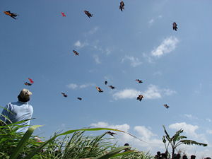 Objek Wisata & Tempat-Tempat menarik Di Pulau Bali.