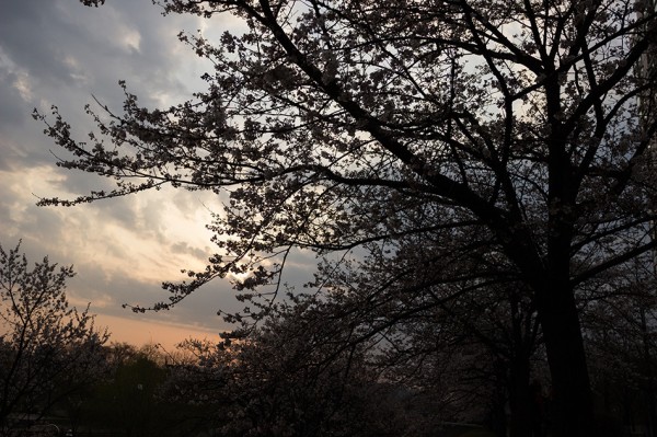 Inilah Hasil Foto Dari Sigma 18-35mm F/1.8 DC HSM