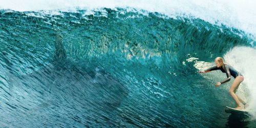 Review The Shallows: Tegang Tapi Puas!