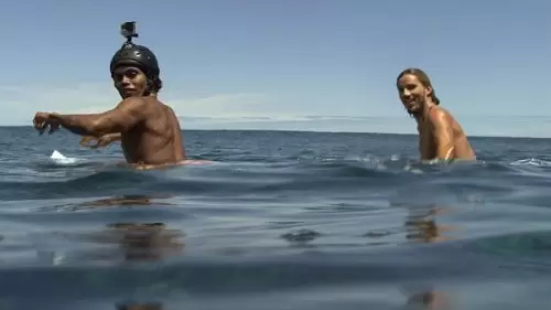 Review The Shallows: Tegang Tapi Puas!