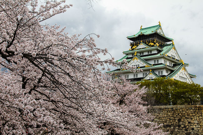 Catat! Jadwal Festival Sakura Di Jepang Tahun 2017 Paling Update