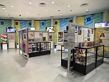 Akihabara: Otaku Culture vs Electronic Store