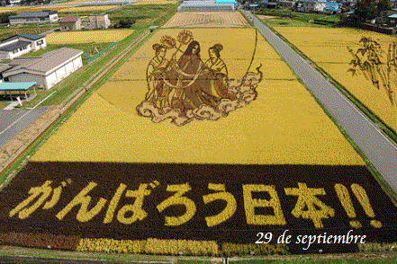 Tanbo Art, Seni Melukis Sawah Oleh Petani Jepang &#91;Pict++&#93;