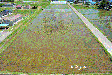 Tanbo Art, Seni Melukis Sawah Oleh Petani Jepang &#91;Pict++&#93;