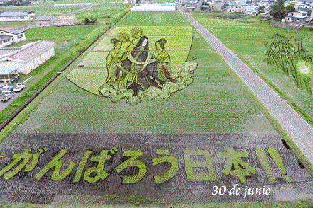 Tanbo Art, Seni Melukis Sawah Oleh Petani Jepang &#91;Pict++&#93;