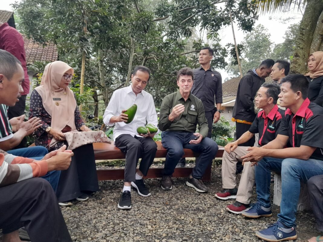 Tembus Pasar Abu Dhabi, Petani Alpukat Pluwang di Kendal Disambangi Jokowi