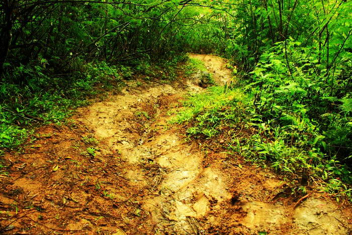 &#91;FR&#93; Curug Malela, Little Niagara di Bandung Barat (13 Januari 2013)