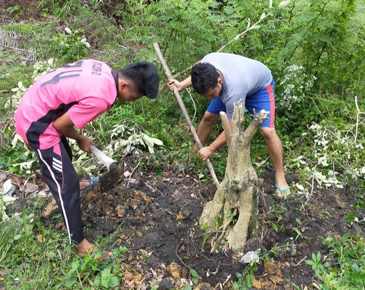 Memulai Hobi Bonsai dan Menjadikan Investasi.