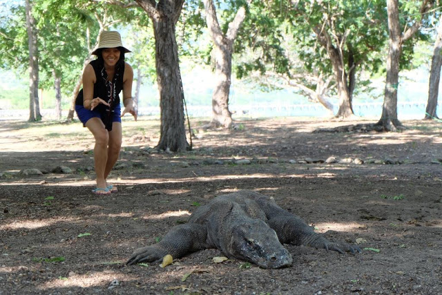 Pulau Komodo Menjadi Destinasi Wisata Premium, dan Hal Yang Bisa Dilakukan Di Sana