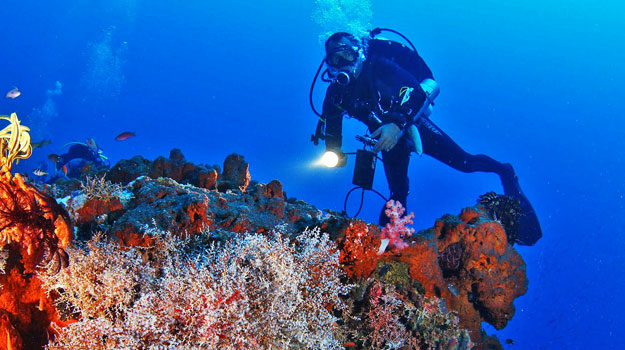 Destinasi Diving/Snorkling Yang Wajib Agan Coba!