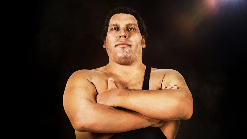 Andre The Giant, Pegulat Yang Dijatuhkan Oleh Hidupnya Sendiri