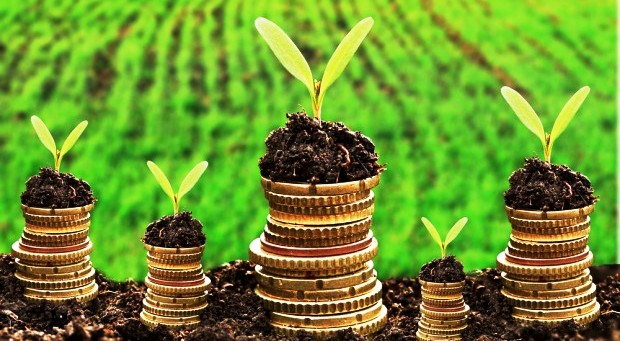 Berinvestasi Saham Bagi Investor Pemula!
