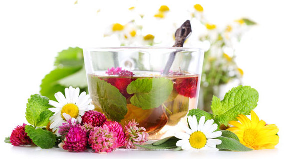 Terduga Pelaku Bom Surabaya Berprofesi Penjual Herbal