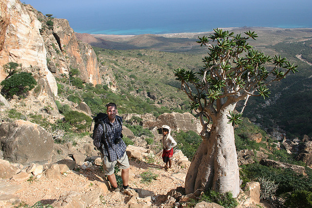 Socotra: Tempat Paling “Alien” di Muka Bumi