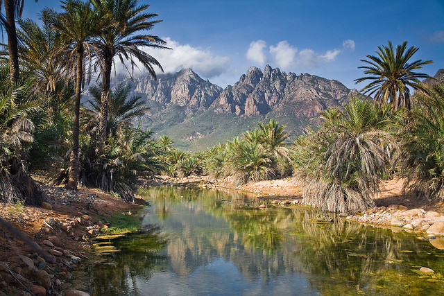 Socotra: Tempat Paling “Alien” di Muka Bumi