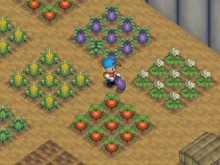 Kumpulan game harvest moon  KASKUS