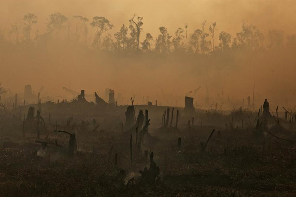 Penyebab Asap Ternyata 8 Perusahaan Malaysia Terlibat Pembakaran Hutan di Riau,