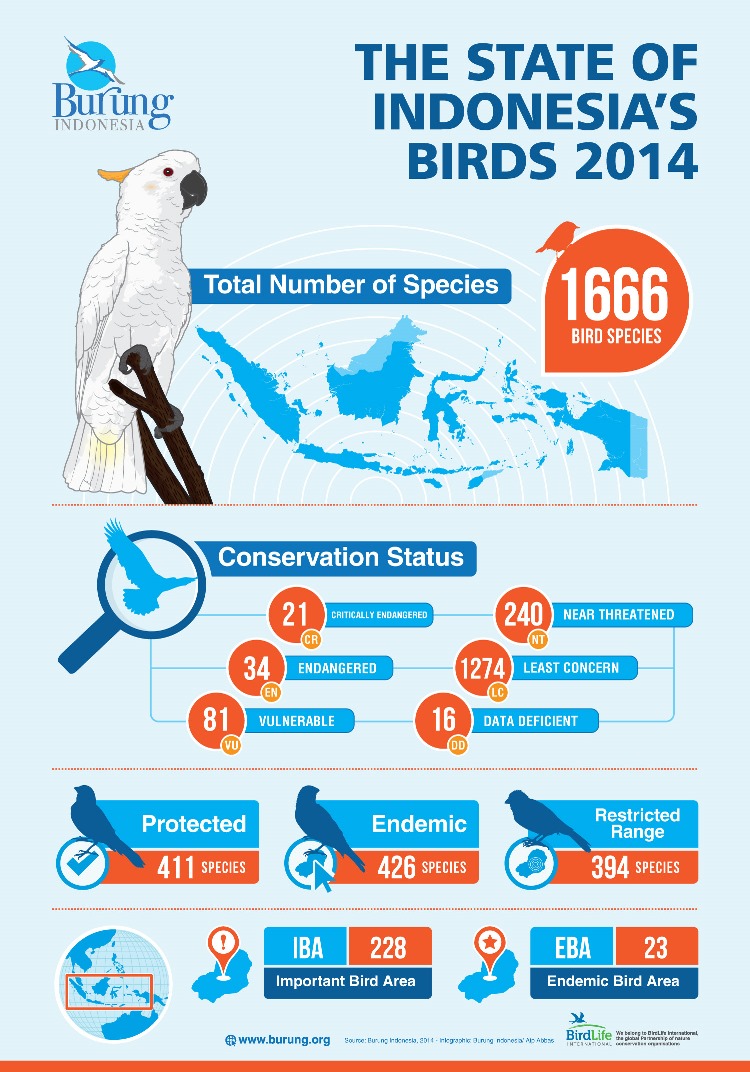 Indonesia Tertinggi dalam Kekayaan Jenis Burung Endemik, Lho..
