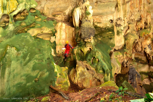  Pesona Karst Sangkulirang, dari Biota Unik sampai Cap Tangan Purba