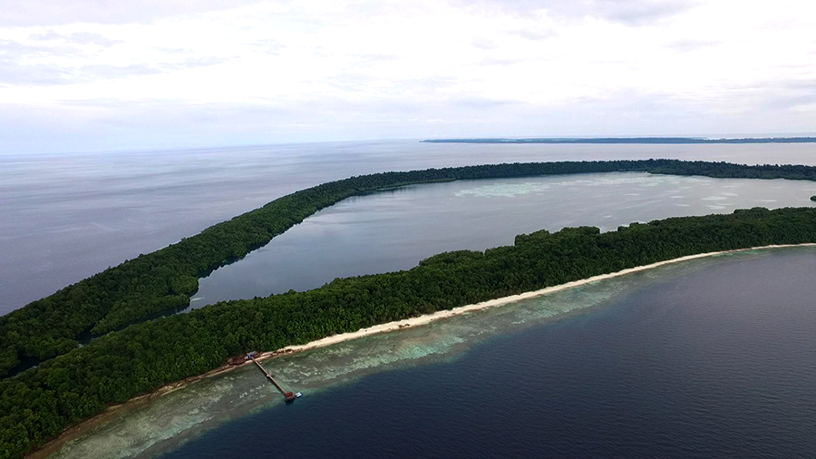 &#91;Coc Reg. KalTim&#93; Uniknya pulau kakaban, tengahnya danau dan pinggirnya laut