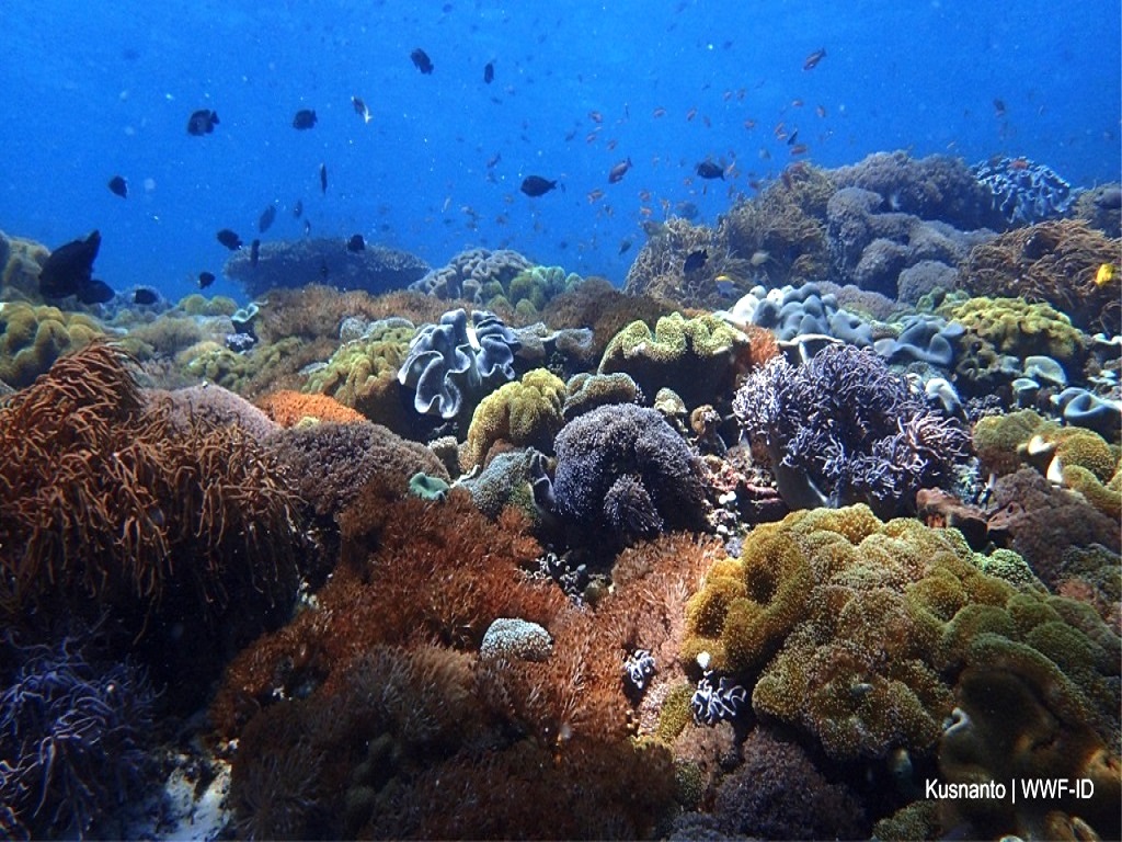 Begini Tren Pariwisata di Labuan Bajo Pasca Pandemi