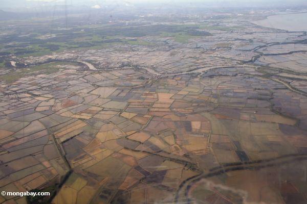 Hutan Indonesia Riwayatmu Kini &#91;MENCENGANGKAN !!!&#93;