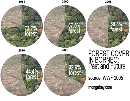 &#91;miris gan&#93;:::FOTO TERBARU HUTAN TROPIS INDONESIA ( FAKTA + PIC):::