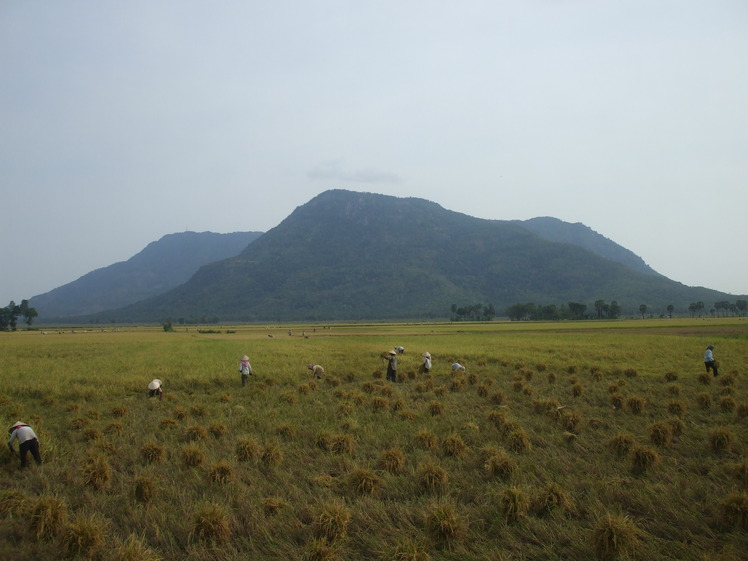 11 Puncak Gunung Tertinggi Di Negara-Negara Kawasan ASIA TENGGARA (ASEAN)