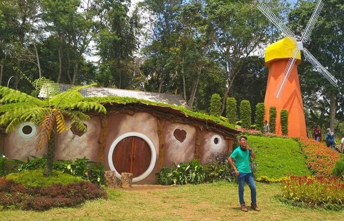 Taman Bunga Celosia Indahnya Sungguh Menginspirasi, Simak 5 Keistimewaannya!
