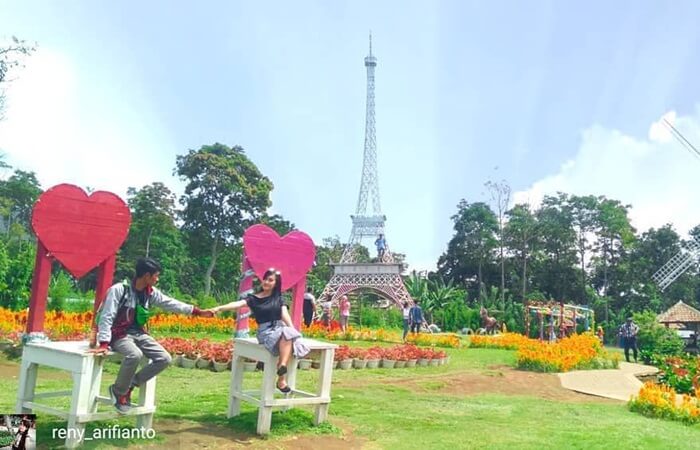 Taman Bunga Celosia Indahnya Sungguh Menginspirasi, Simak 5 Keistimewaannya!
