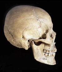 dua-maneken-manusia-purba-diimpor-dari-paris