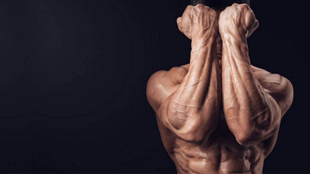 14-cara-membesarkan-otot-lengan-dengan-efektif