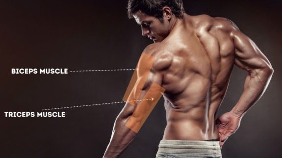 7+ Urutan Latihan Fitnes yang Baik dan Benar Bagi Seorang Pemula