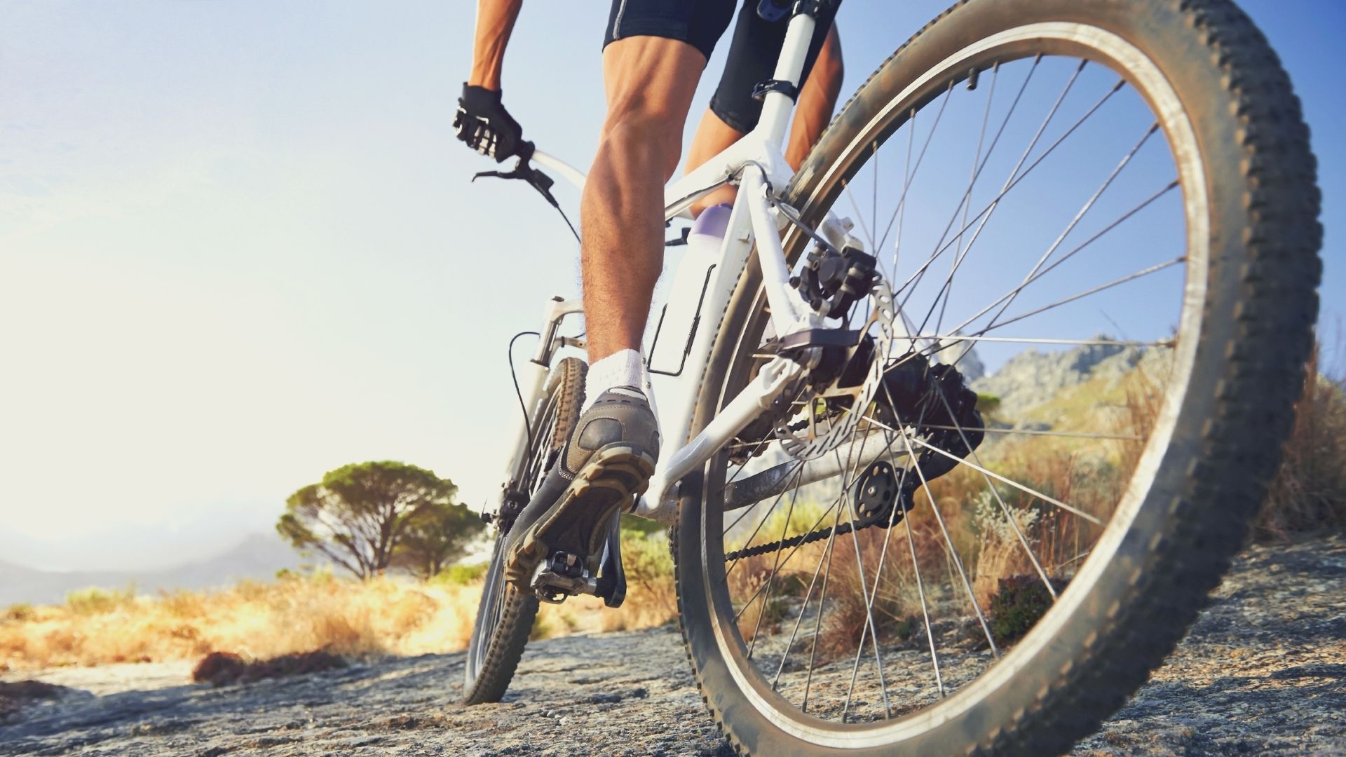 7+ Manfaat Gowes Sepeda bagi Kesehatan Tubuh
