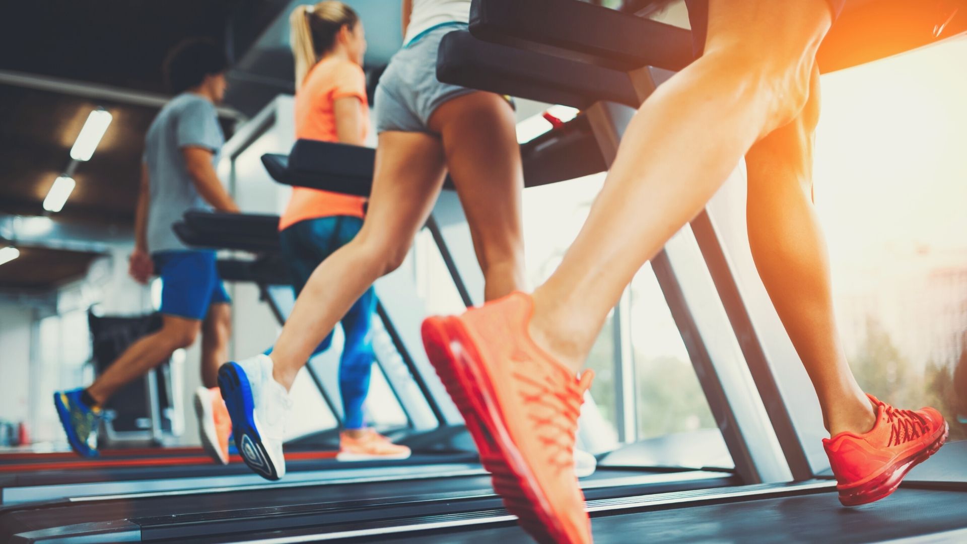 apa-itu-treadmill-pengertian-dan-cara-kerja-treadmill
