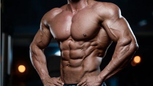 Cara Membentuk Otot Dada & Triceps dengan Latihan Dips