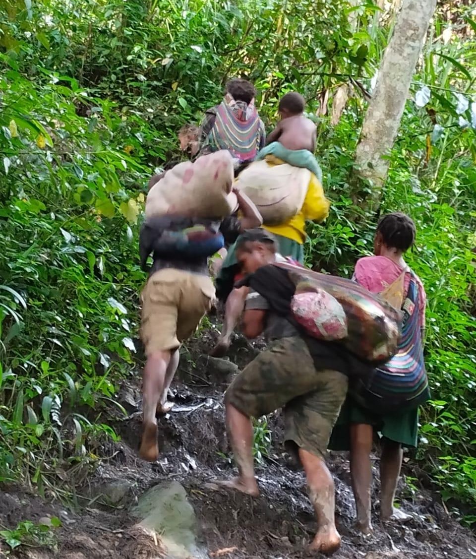 ratusan-warga-intan-jaya-mengungsi-ke-hutan-presiden-gagal-lindungi-masyarakat