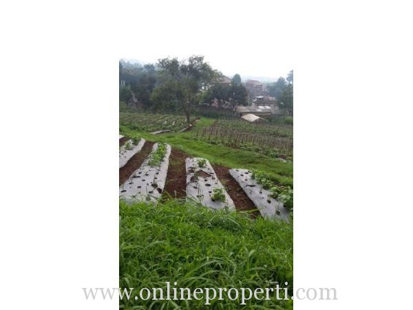 Dijual Tanah Luas 2 Hektar di Bojong Koneng, Bandung AG826