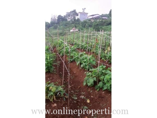 Dijual Tanah Luas 2 Hektar di Bojong Koneng, Bandung AG826