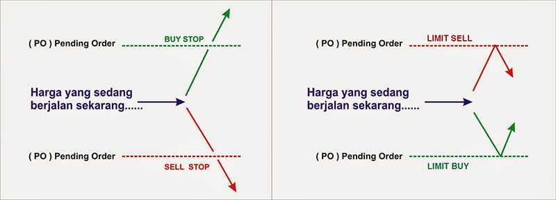 cara mengetahui open posisi bank terbesar di dunia forex