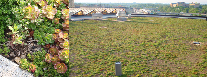 Green Roof, Taman-taman Hijau di atas Atap Bangunan 