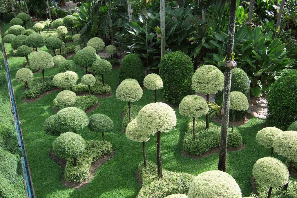Indahnya Taman Nongnooch Tropical Garden &#91;Pic Inside&#93;