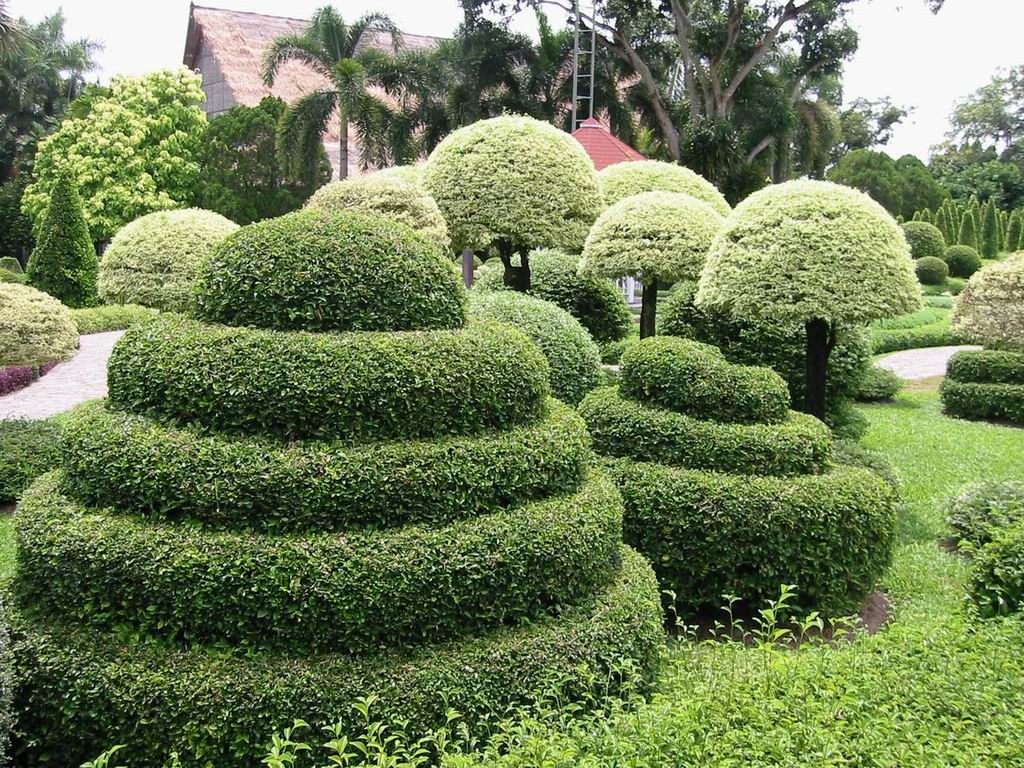 Indahnya Taman Nongnooch Tropical Garden &#91;Pic Inside&#93;