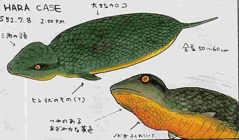 7 Makhluk Misterius di Jepang