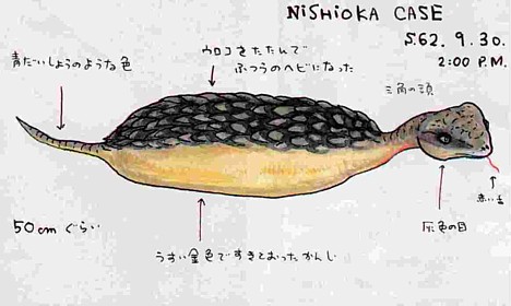 7 Makhluk Misterius di Jepang