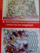trap a roach Hoy2.. perangkap kecoa anti insectisida
