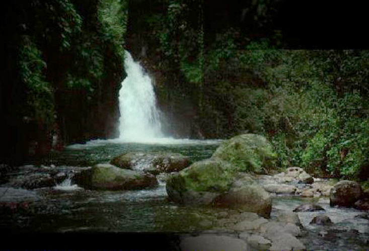  jalan2 yukzz TAMAN NASIONAL GUNUNG HALIMUN KASKUS ARCHIVE