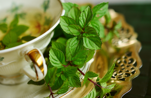 4-minuman-herbal-pereda-batuk-flu-sikat-habis-penyakitnya